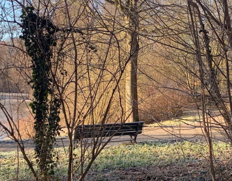 Foto vom Garten